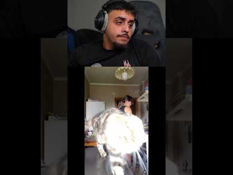 katze