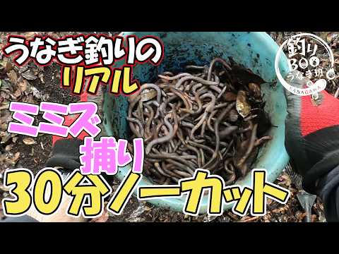 釣りBOO～(つりぶ～） 神奈川釣り日記 釣行メンバー募集中！！！ - YouTube