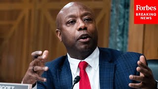 Celebrity Tim Scott Leads Senate Banking Committee Hearing To Consider Trump Nominees Profile