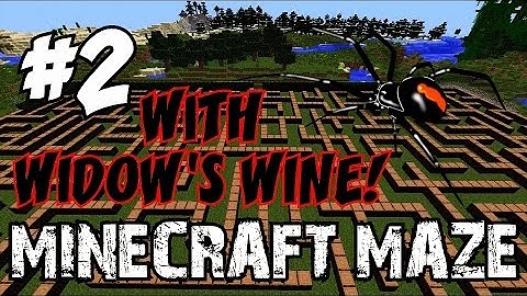 MINECRAFT ZOMBIE MAZE: Featuring WIDOW