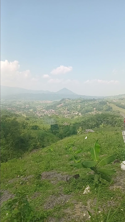 di bukit indah .berbunga