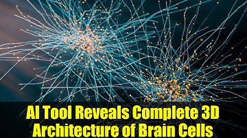 AI Tool Reveals Complete 3D Architecture of Brain Cells