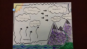 Ozobots used at SFES in 5th Grade
