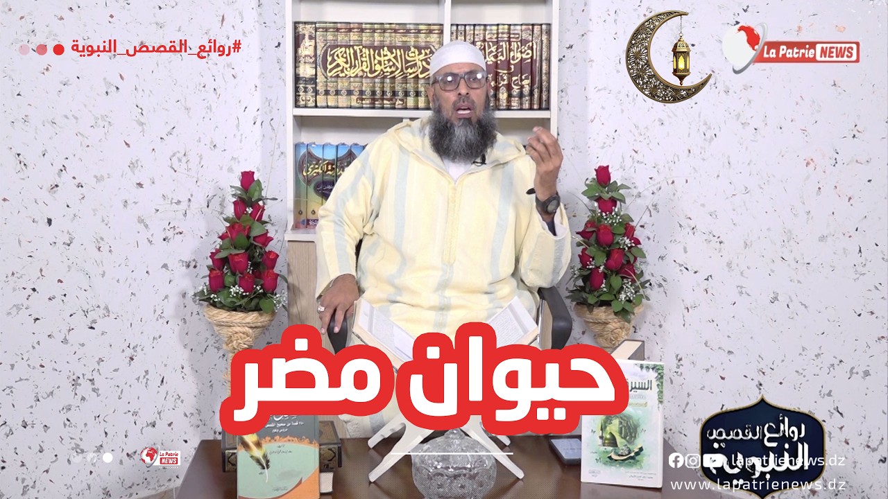 حيوان يجوز قتله بسبب الضرر الذي يلحقه بالإنسان أو بيته… تعرف عليها مع الشيخ #بن_مبروك