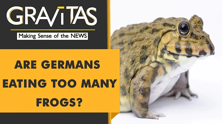 Gravitas: Frogs are being eaten to extinction - DayDayNews