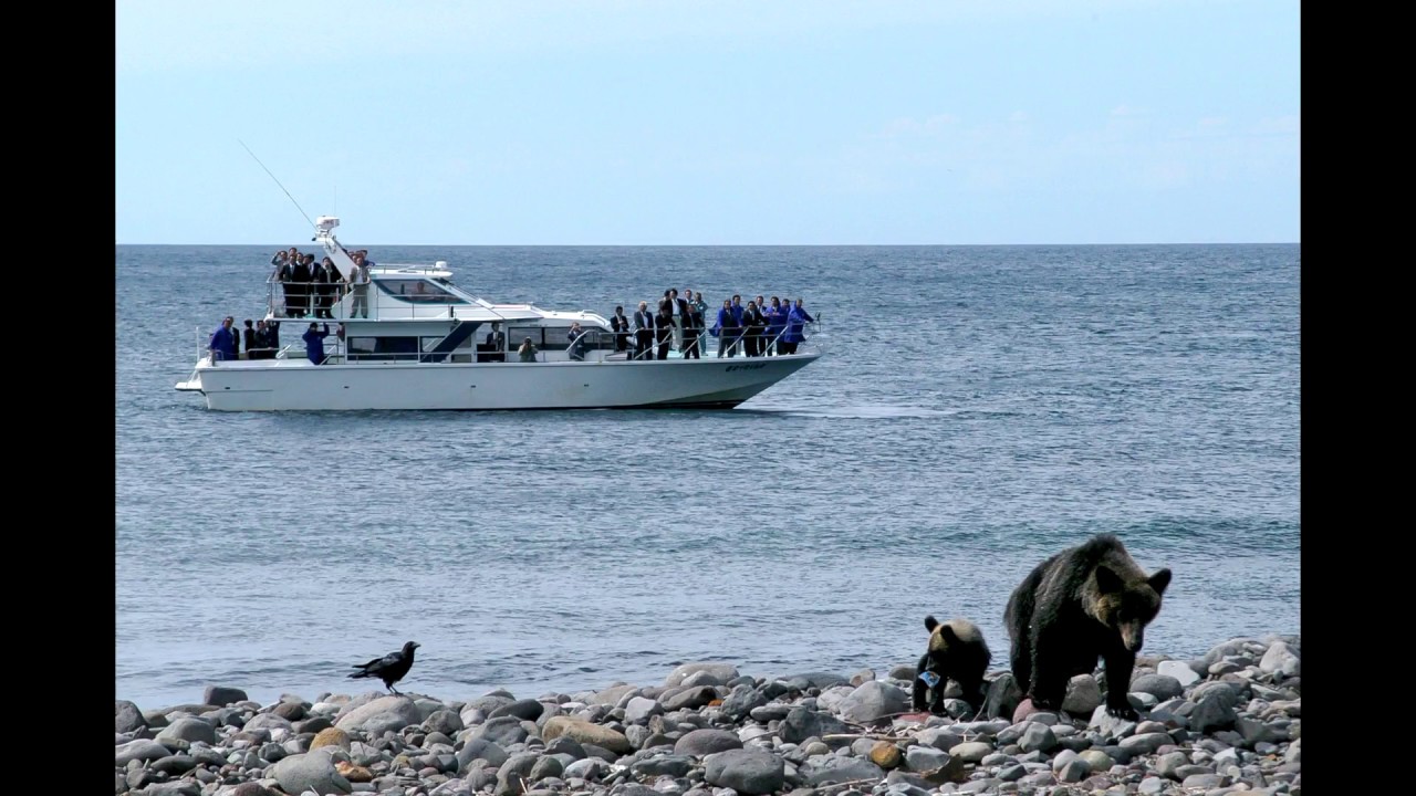 高確率で野生の熊を海から見られる！「知床半島ウトロクルーズ