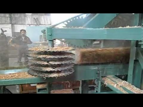 Amazing Modern Automatic Wood Sawmill Machines Line, Fast Wood Cutting Stihl Chainsaw Machines