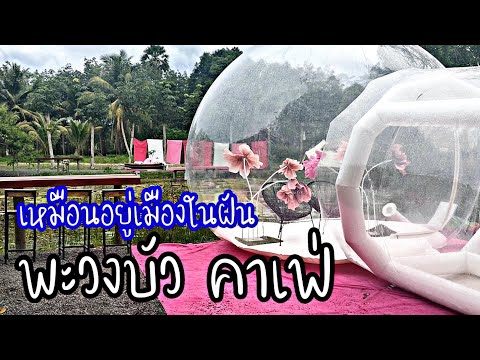 พะวงบัว คาเฟ่ สงขลา |อาหารอร่อย บรรยากาศดี๊ดี