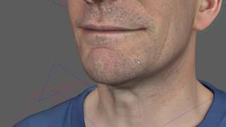 CGI Face Rig by Jim Su