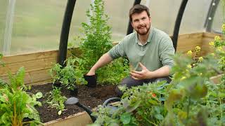 🔴 Gardeners' World 2022 | 🍀 EASY Watering Trick for Amazing Tomato Harvests 2022