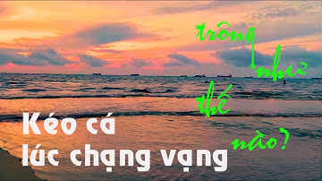KÉO LƯỚI BẮT CÁ BIỂN |  SA CẦN QUẢNG NGÃI