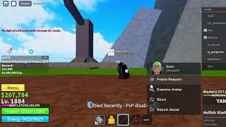 Hacker report (Blox fruits)
