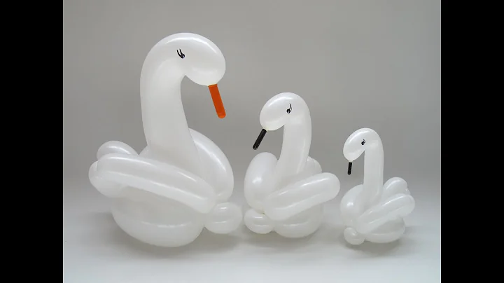 Swan Balloon Tutorial - Video 27 - BalloonTube with Graham Lee