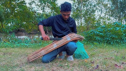 Cắm Câu Vùng Biên Giới Phát Hiện Địa Điểm Nhiều Cá Lóc Khủng Phải Dùng Cách Này