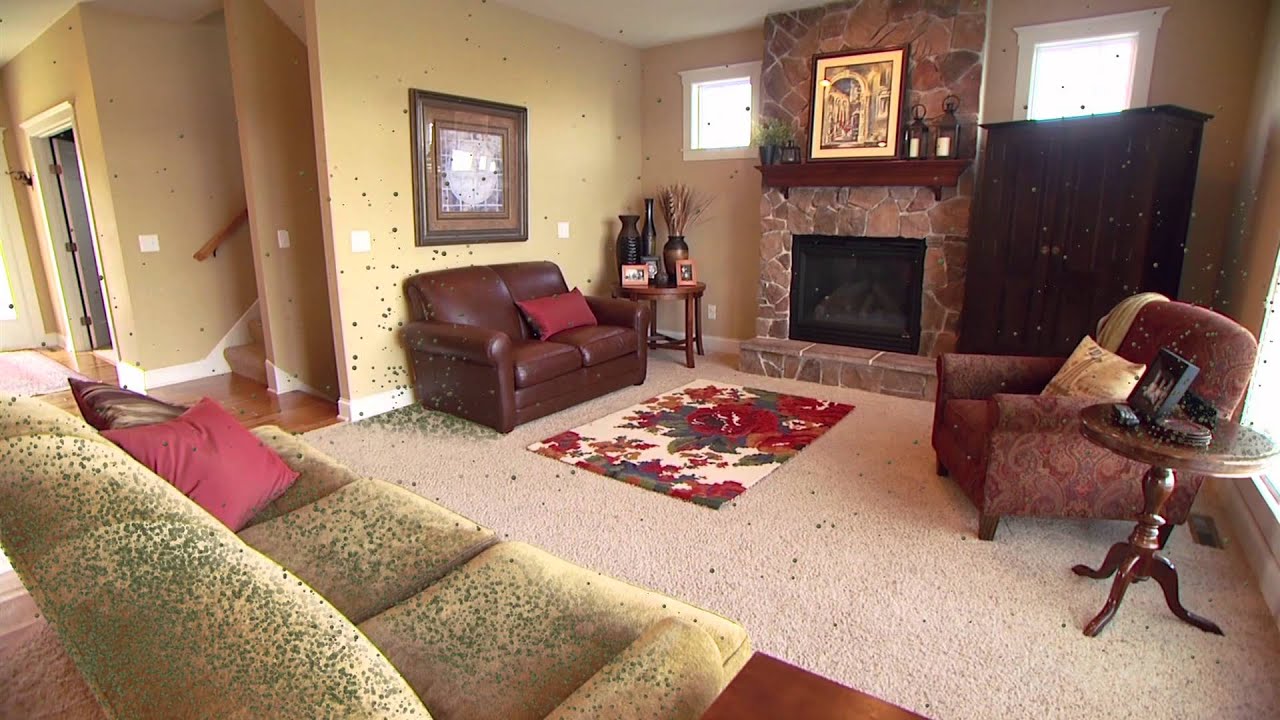 How Poor Air Circulation Impacts Mold Allergies -- From the makers of ZYRTEC®