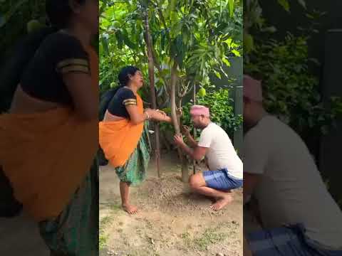 🤣 Injured Wife vs Funny Husband  Hilarious Desi Couple Comedyfunny couple comedy,husband wife#shorts