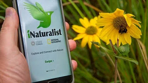 Citizen Science: Intro & iNaturalist April 10, 2020