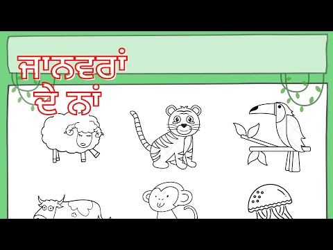 ਜਾਨਵਰਾਂ ਦੇ ਨਾਂ /जानवरों के नाम / Name Of Animals #punjabi # Punjabi Learning!