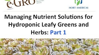 Managing Nutrient Solutions for Hydroponics Part 1