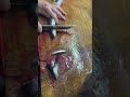 Collection of Eel Samurai's Eel Cutting Techniques #eel #cuttingskills #funnyvideo