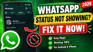 How to Fix WhatsApp Status Not Showing Problem (2026) | Easy Solution News
