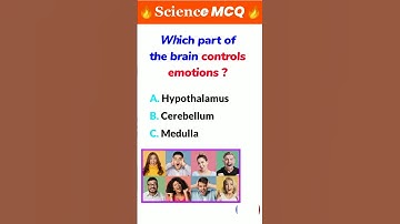 Which Part Of The Brain Control Emotion 😮 #shorts #viral #quiz #sciencetrivia #usashorts
