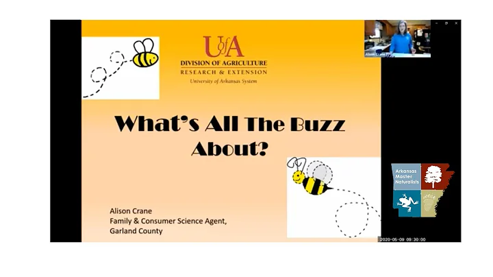What's the Buzz About with Alison Crane, Family an...
