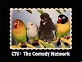 Ctv the comedy network vanity cards 1991