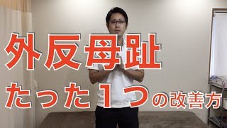 テーピングもインソールもいらない！外反母趾を根本から改善する方法｜京都市北区　もり鍼灸整骨院