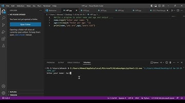 How to input Name and Age and output them together in Python | VSCODE