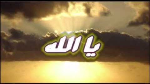 نبيل الصالح /  آيات .