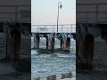 Płaza Orłowo Gdynia #youtubeshorts #snow #everyone