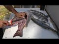 How to fillet redfish, trout and sheepshead