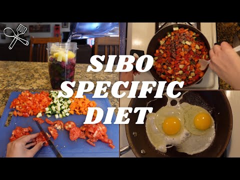 what I (have to) eat in a day | SIBO Specific Diet