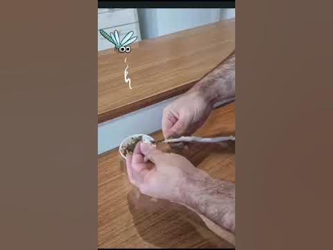 Лучшее средство от насекомых своими руками. Избавиться от Мух Мошек ...
