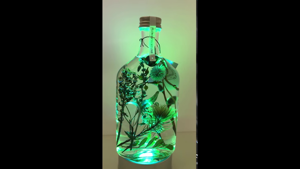 ハーバリウム＆ライト 「バイオフィリア」｜FLOWER*FORTUNE