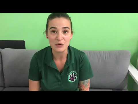 About PACCC: Tips On How to Become a Certified Pet Care Professional About PACCC: Tips On How to Become a Certified Pet Care Professional