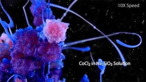 Cobalt chloride in sodium silicate