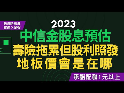 中信金被壽險拖累，去年獲利衰退43%，但照樣發出1元以上的股利！中信金適合存股嗎？安全的進場點在哪？！~CC中文字幕