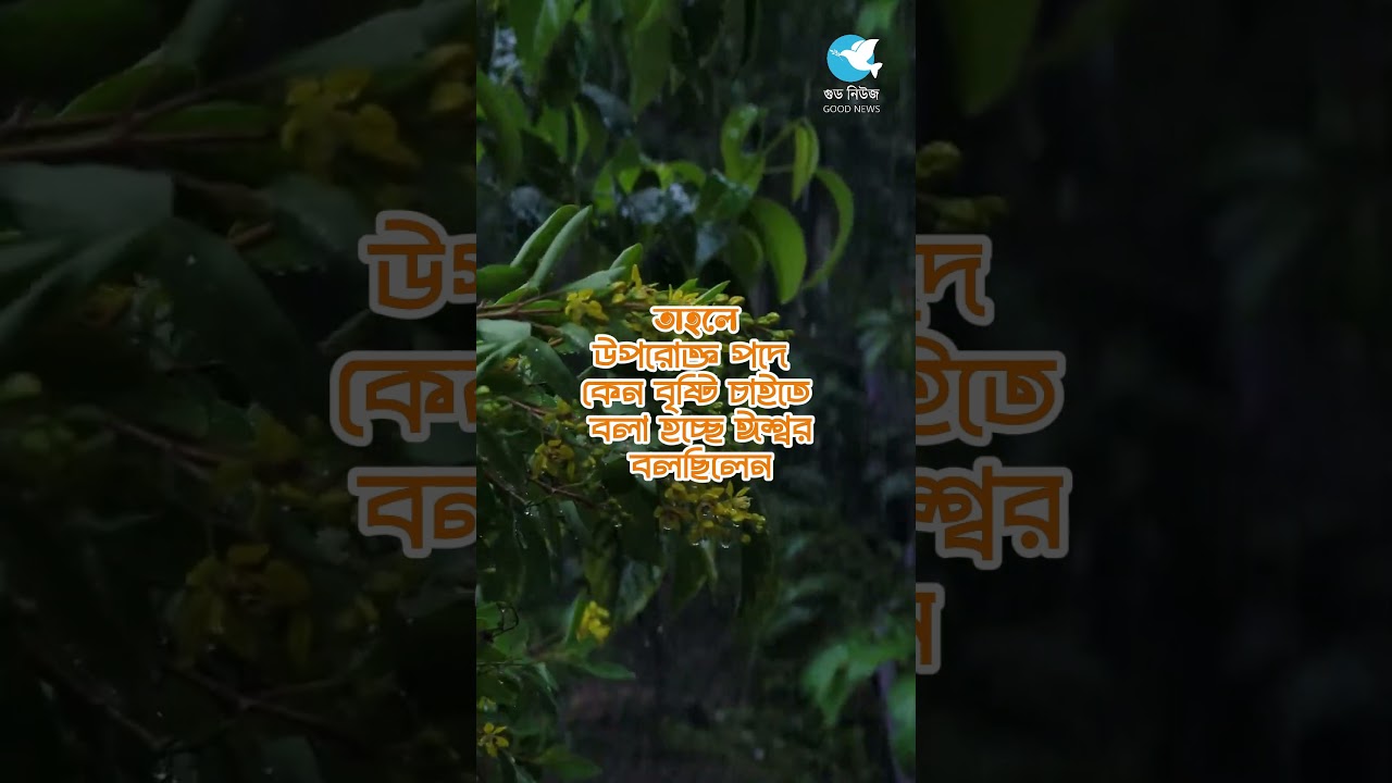 || বৃষ্টি হচ্ছে ।। #bibleverses #learntoforgive #motivation #bibleverse_jmjc #bibleversedaily