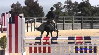 176S Christine Lekutis SR Novice Rider Show Jumping Woodside August 2013