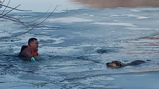 В Петропавловске из ледяной воды спасли собаку