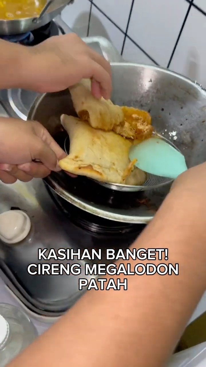 KASIHAN? CIRENG MEGALODON PATAH