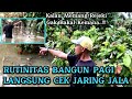 PAGI YANG CERAH!! SAATNYA CEK PASANGAN JARIN KEMARIN SORE