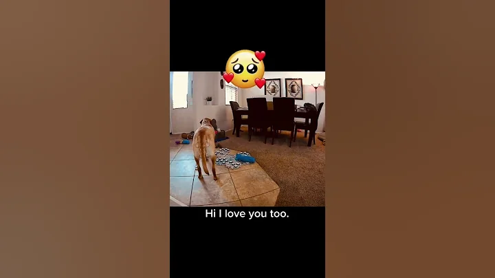 TALKING dog tells Mom, HI LOVE YOU. #shorts