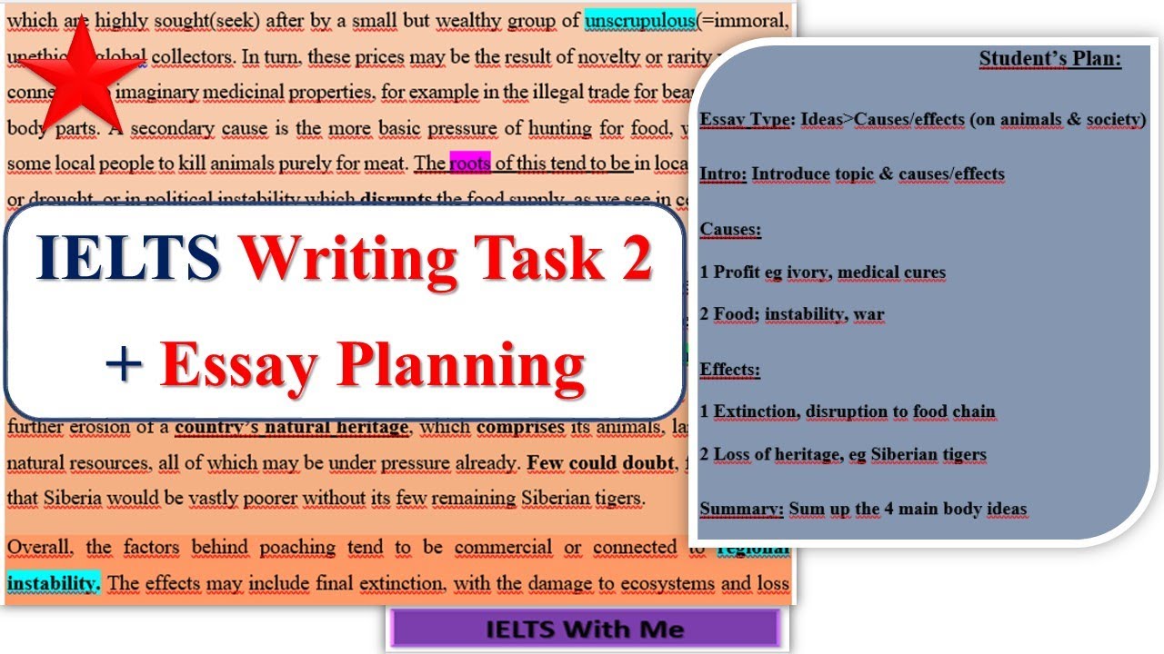 IELTS Writing Task 2 - YouTube