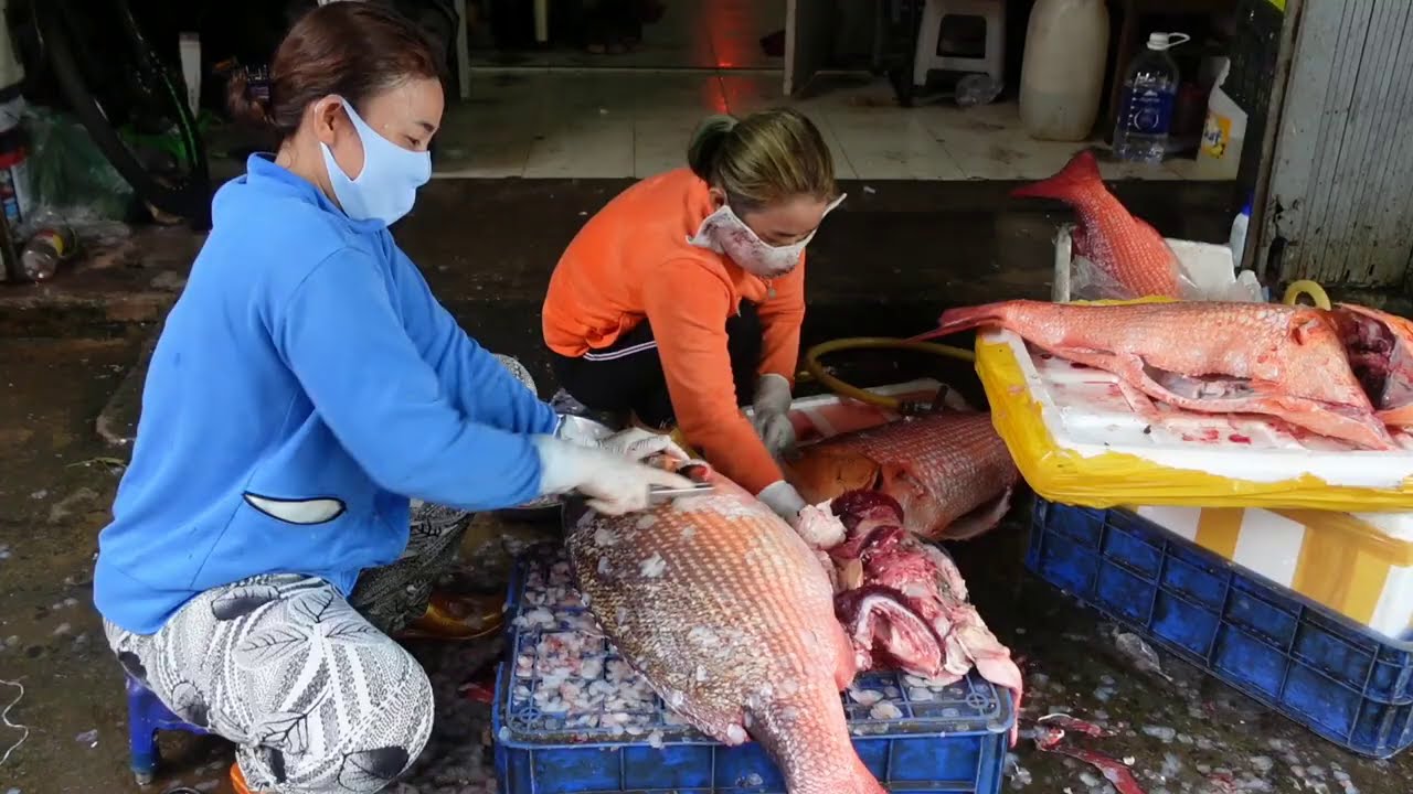 Vựa cá lớn nhất Sài Gòn toàn bán các loại cá siêu hiếm