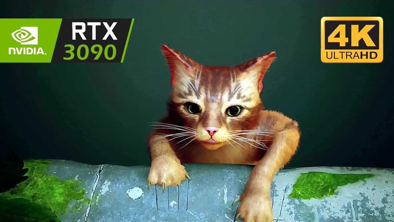 STRAY - 4K PC Gameplay Walkthrough Part 1 | Opening Cinematic & Loosing my Family