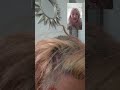 ¿Misión imposible? 👵 Mi hermana y sus canas ✨