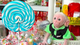 Bon Bon baby monkey was taken by her father to buy candy by Home Pet 399 views 11 months ago 5 minutes, 24 seconds